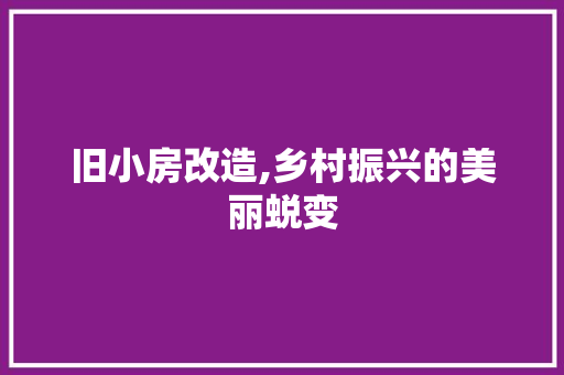 旧小房改造,乡村振兴的美丽蜕变
