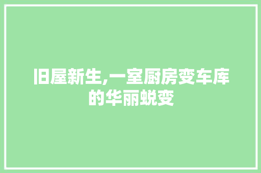 旧屋新生,一室厨房变车库的华丽蜕变