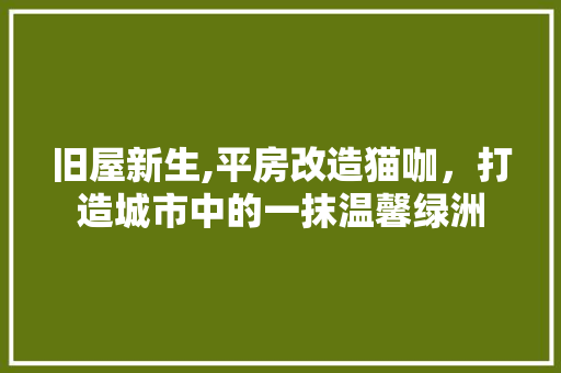 旧屋新生,平房改造猫咖，打造城市中的一抹温馨绿洲