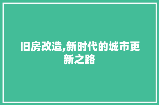 旧房改造,新时代的城市更新之路 墙体维修