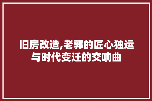 旧房改造,老郭的匠心独运与时代变迁的交响曲 综合便民