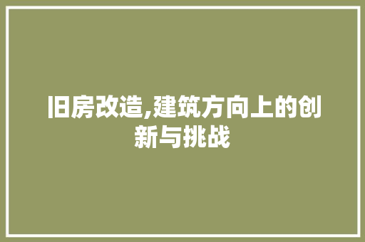 旧房改造,建筑方向上的创新与挑战 墙体维修