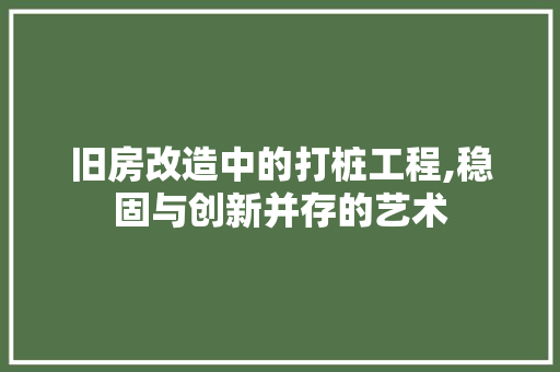 旧房改造中的打桩工程,稳固与创新并存的艺术 家电维修