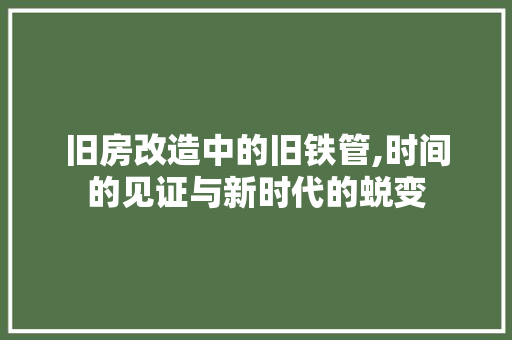 旧房改造中的旧铁管,时间的见证与新时代的蜕变 综合便民