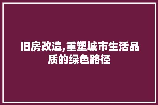 旧房改造,重塑城市生活品质的绿色路径 厨房维修