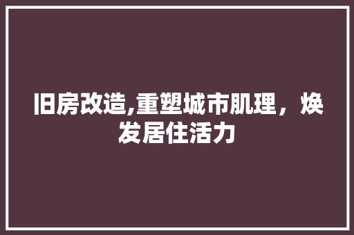 旧房改造,重塑城市肌理，焕发居住活力 厨房维修