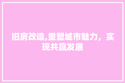 旧房改造,重塑城市魅力，实现共赢发展 墙体维修