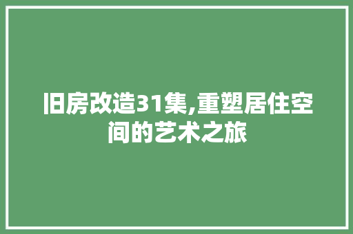 旧房改造31集,重塑居住空间的艺术之旅 家电维修