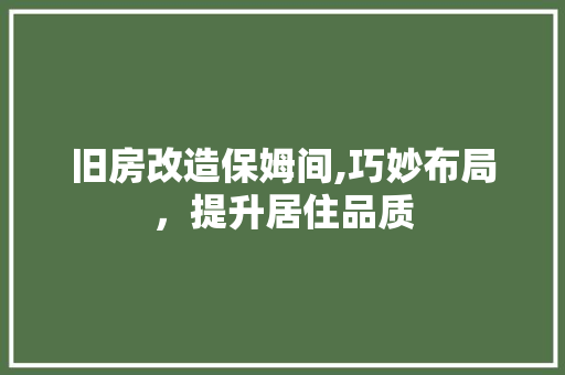 旧房改造保姆间,巧妙布局，提升居住品质 厨房维修