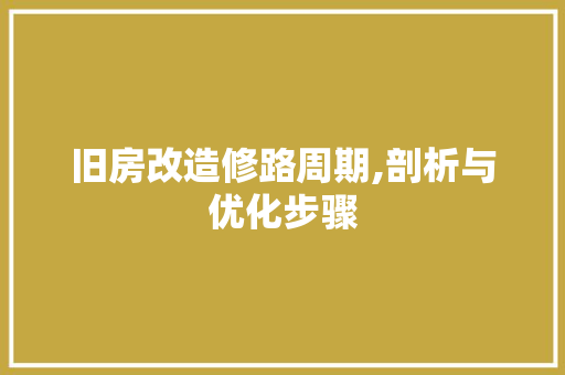 旧房改造修路周期,剖析与优化步骤 厨房维修