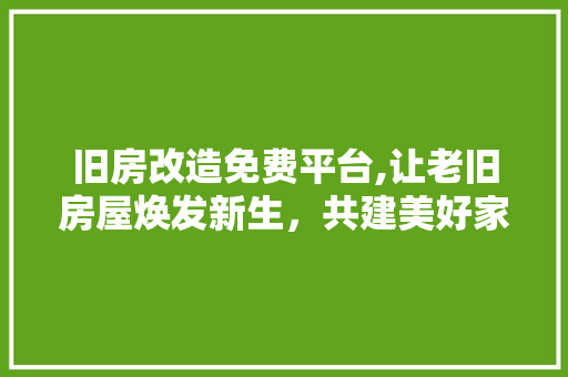 旧房改造免费平台,让老旧房屋焕发新生，共建美好家园 墙体维修