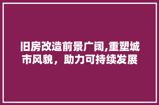 旧房改造前景广阔,重塑城市风貌，助力可持续发展 厨房维修