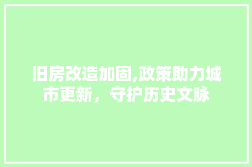 旧房改造加固,政策助力城市更新，守护历史文脉 综合便民