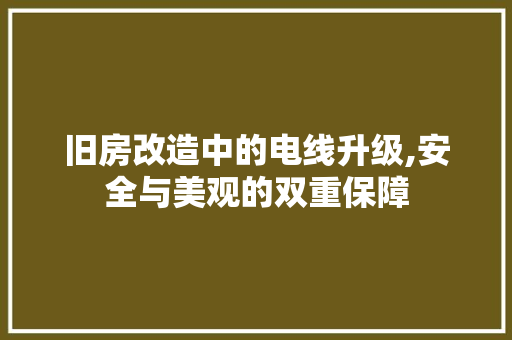 旧房改造中的电线升级,安全与美观的双重保障 墙体维修