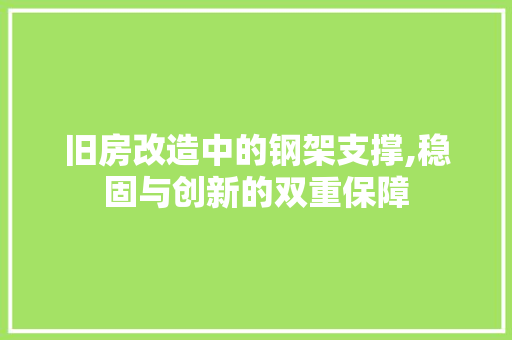 旧房改造中的钢架支撑,稳固与创新的双重保障 家电维修