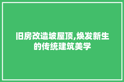 旧房改造坡屋顶,焕发新生的传统建筑美学 厨房维修