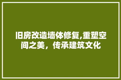 旧房改造墙体修复,重塑空间之美，传承建筑文化