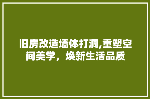 旧房改造墙体打洞,重塑空间美学，焕新生活品质
