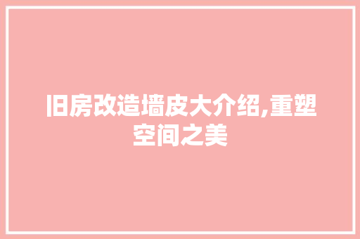 旧房改造墙皮大介绍,重塑空间之美