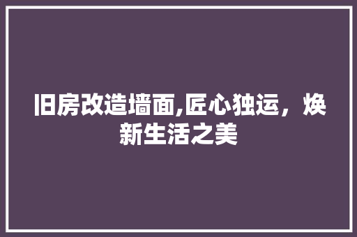 旧房改造墙面,匠心独运，焕新生活之美