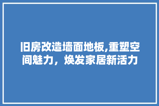 旧房改造墙面地板,重塑空间魅力，焕发家居新活力
