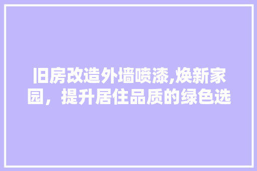 旧房改造外墙喷漆,焕新家园，提升居住品质的绿色选择 厨房维修