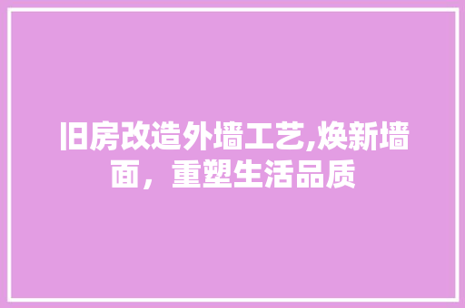 旧房改造外墙工艺,焕新墙面，重塑生活品质 汽车维修