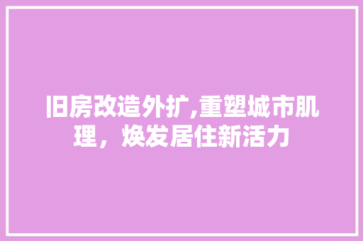 旧房改造外扩,重塑城市肌理，焕发居住新活力 厨房维修