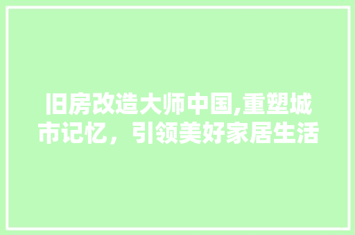 旧房改造大师中国,重塑城市记忆，引领美好家居生活