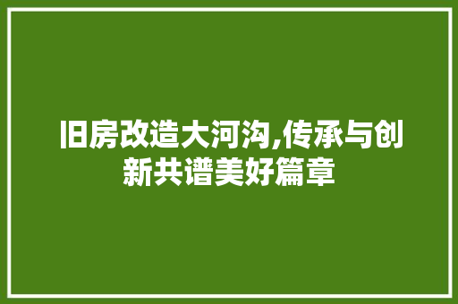 旧房改造大河沟,传承与创新共谱美好篇章