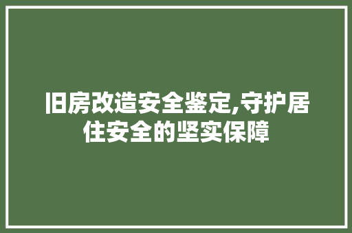 旧房改造安全鉴定,守护居住安全的坚实保障 厨房维修