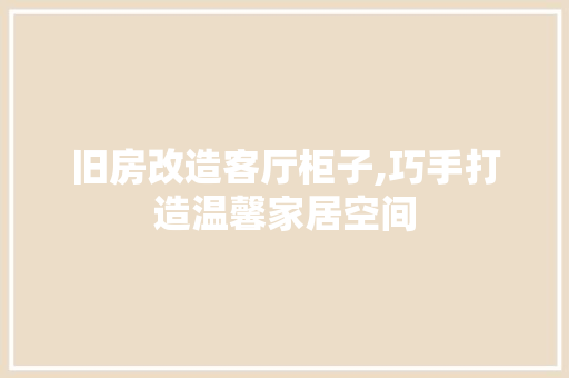 旧房改造客厅柜子,巧手打造温馨家居空间 厨房维修