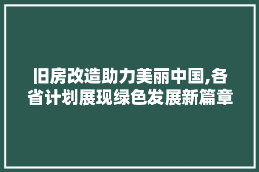 旧房改造助力美丽中国,各省计划展现绿色发展新篇章 汽车维修