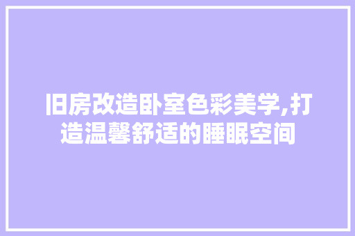 旧房改造卧室色彩美学,打造温馨舒适的睡眠空间 厨房维修