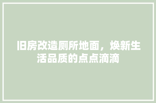 旧房改造厕所地面，焕新生活品质的点点滴滴 综合便民