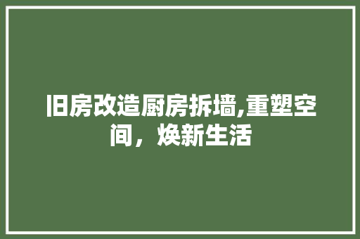 旧房改造厨房拆墙,重塑空间，焕新生活 综合便民