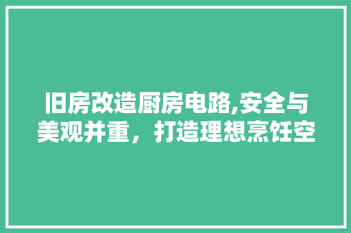 旧房改造厨房电路,安全与美观并重，打造理想烹饪空间 汽车维修