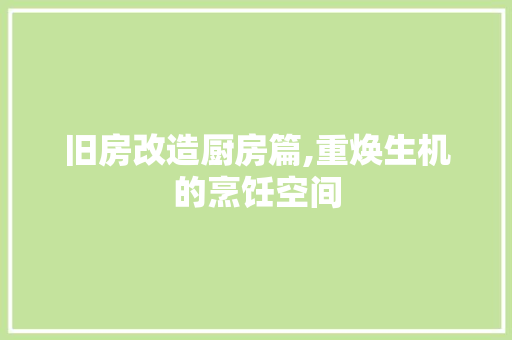 旧房改造厨房篇,重焕生机的烹饪空间 墙体维修