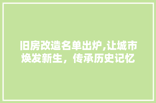 旧房改造名单出炉,让城市焕发新生，传承历史记忆 汽车维修