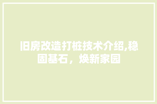 旧房改造打桩技术介绍,稳固基石，焕新家园 厨房维修