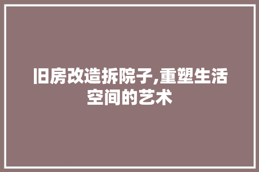 旧房改造拆院子,重塑生活空间的艺术 汽车维修