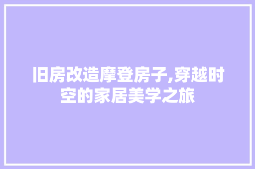旧房改造摩登房子,穿越时空的家居美学之旅 家电维修