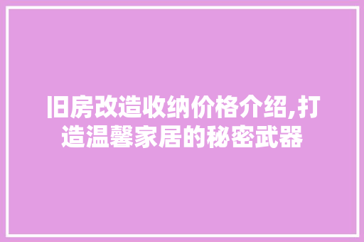 旧房改造收纳价格介绍,打造温馨家居的秘密武器 厨房维修