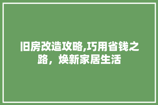 旧房改造攻略,巧用省钱之路，焕新家居生活 厨房维修