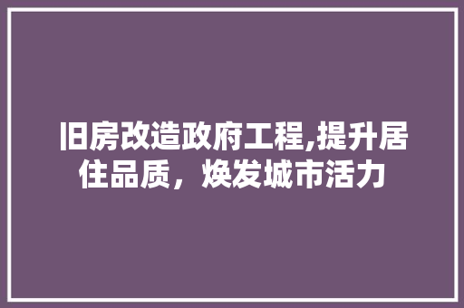 旧房改造政府工程,提升居住品质，焕发城市活力 汽车维修