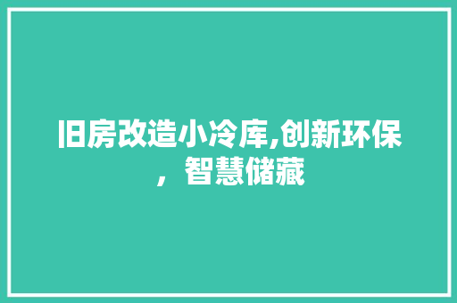 旧房改造小冷库,创新环保，智慧储藏 厨房维修