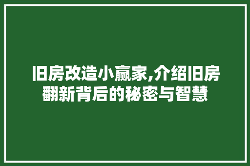 旧房改造小赢家,介绍旧房翻新背后的秘密与智慧 汽车维修