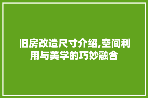 旧房改造尺寸介绍,空间利用与美学的巧妙融合 墙体维修