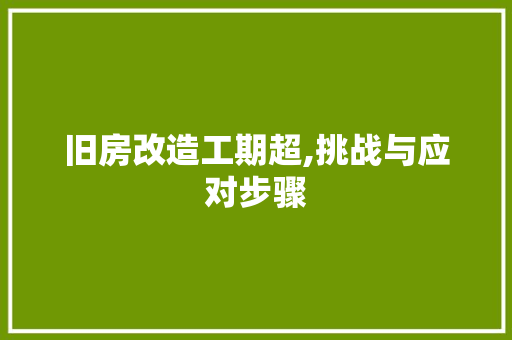 旧房改造工期超,挑战与应对步骤 家电维修
