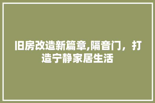 旧房改造新篇章,隔音门，打造宁静家居生活 厨房维修